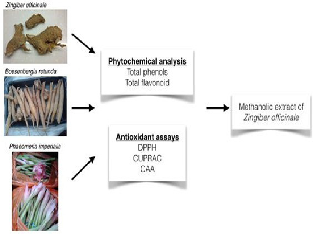 Pictorial Abstract