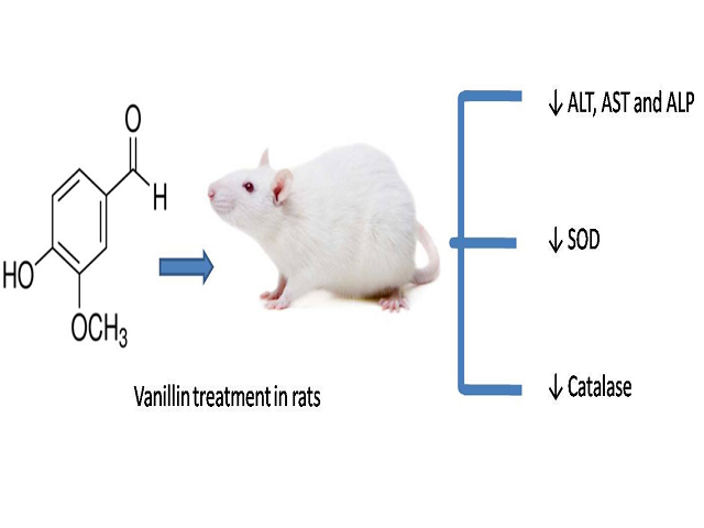 Evaluation of Hepatoprotective Effect of Vanillin in Isoniazid-Rifampicin Induced Hepatocellular Damage
