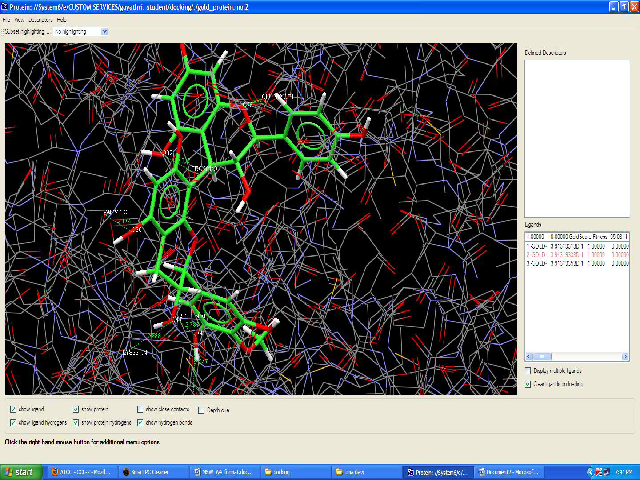 Molecular docking of procyanidin B2 with NF-κB