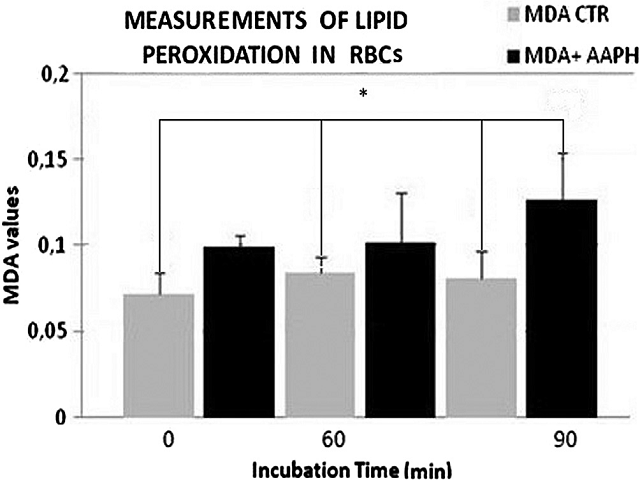 Effect of AAPH (50 mM) on the kinetic of human RBCs lipid peroxidation at several times (0,60,90 min) of incubation. Each point is the mean  S.E.M. of twelve independent determinations. Comparison with all references according to one-way ANOVA and Tukey post hoc test * (p < 0.05).