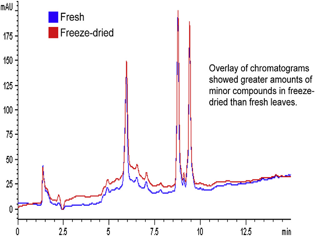 Overlay of chromatograms (254 nm) of fresh and freeze-dried leaves of Etlingera elatior.