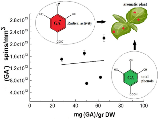 Gallic Acid Radical Generation in Aromatic Plants: A Combined EPR and UV-Vis Spectroscopic Approach