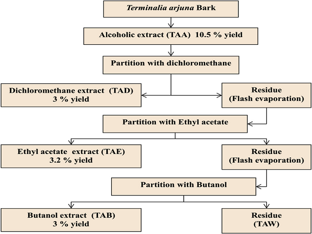 Sequential extraction of Terminalia arjuna bark.