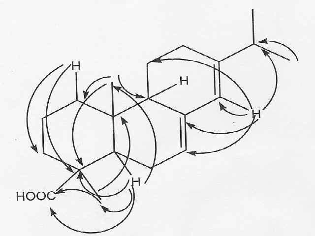 HMBC correlations of abietic acid