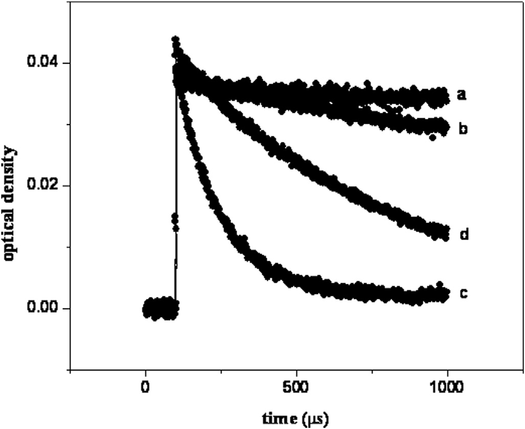 Decay of ABTS (a), decay of ABTS in the presence of: skin juice (b), skin decoction (c), 10 mg/ml ascorbic acid (d).