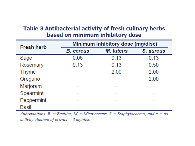 Antioxidant and antibacterial properties of some fresh and dried Labiatae herbs