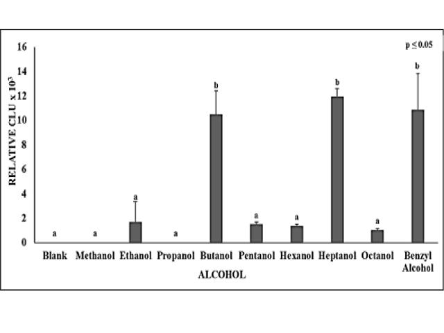 CL of 50 μL of the C1-C8 aliphatic alcohols and Benzyl Alcohol added to the CL cocktail (500 μL) at 25°C. CL was recorded as described above. Different letters designate significant differences in chemiluminescent activity among the aliphatic alcohols and Benzyl Alcohol. The same letters, a or b, designate no significant differences in the Mean = +/- SE of chemiluminescent activity, p ≤ 0.05, N=10.