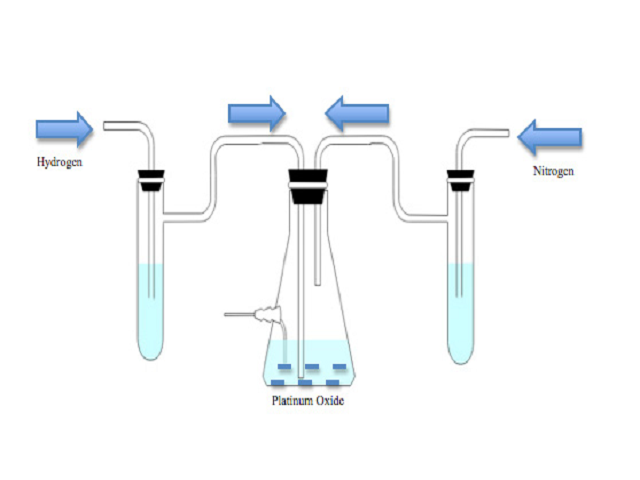 Schematic diagram of the set up for hydrogenation of OXANO• in the presence of Platinum Oxide and Nitrogen.