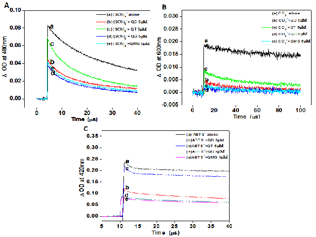 Pulse radiolysis