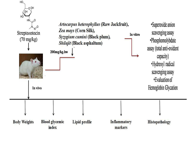 Antioxidant, Anti-Inflammatory and Anti-diabetic Efficiency of Indian Medicinal Plants against Streptozotocin Induced Diabetes in Male Wistar Rats