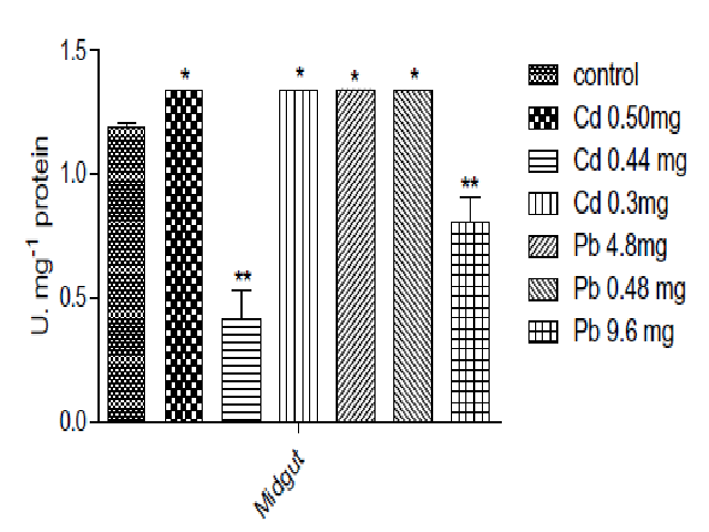 POX activity in midgut tissue of metal toxicity in Spodoptera litura