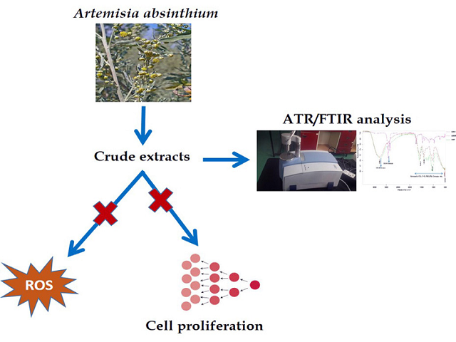 An in vitro Study of the Antioxidant and Antiproliferative Properties of Artemisia absinthium- A Potent Medicinal Plant
