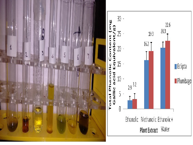 Phytochemical Screening tests of Eclipta alba