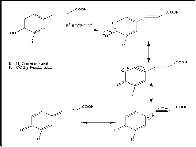 chemical structure of ferulic and coumaric acids