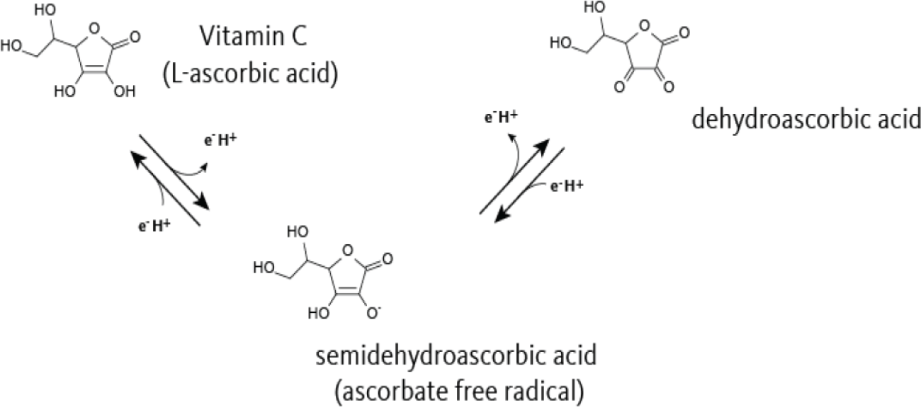 Oxidation of ascorbic acid.