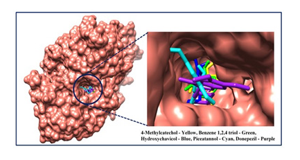 Docked orientation or binding mode of all small molecules including Donepezil into the AChE active site or binding cavity. All small molecules displayed in different colours for better visualization (AChE in surface view and all small molecules are in ball and stick representation).